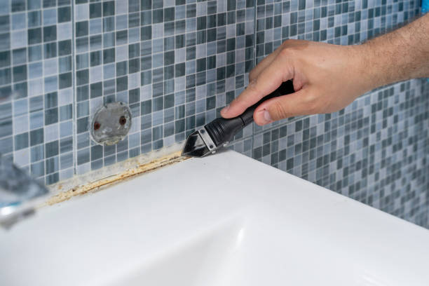 Best Fast Mold Removal  in Lapeer, MI
