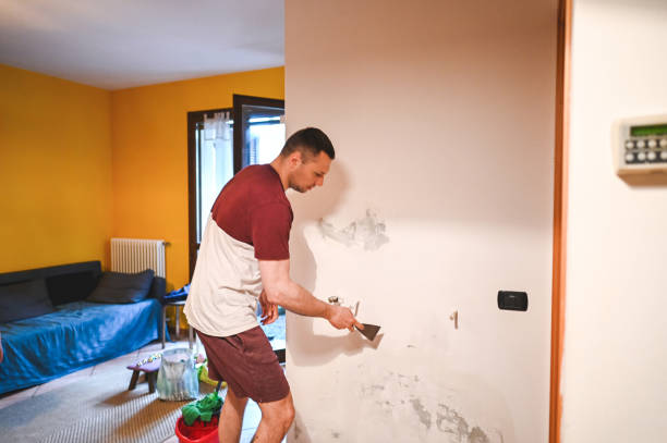 Best Mold Removal Near Me  in Lapeer, MI